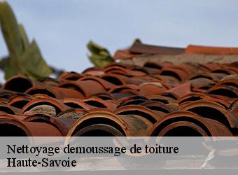 Nettoyage demoussage de toiture Haute-Savoie