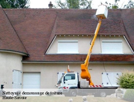 Nettoyage demoussage de toiture 74 Haute-Savoie Rénovation CM