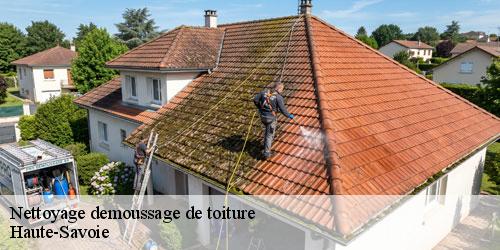 Nettoyage demoussage de toiture 74 Haute-Savoie Rénovation CM