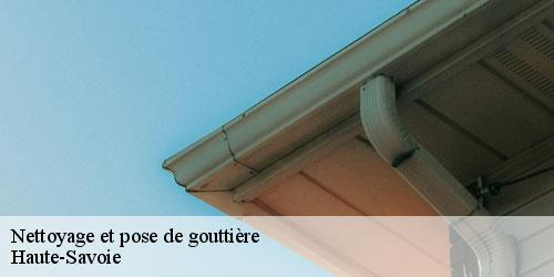 Nettoyage et pose de gouttière 74 Haute-Savoie Rénovation CM