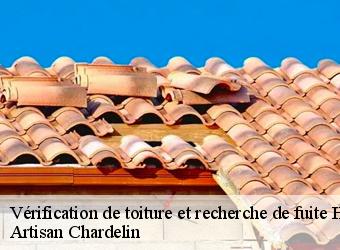 Vérification de toiture et recherche de fuite 74 Haute-Savoie  Artisan Chardelin