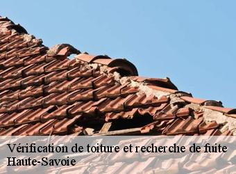 Vérification de toiture et recherche de fuite Haute-Savoie