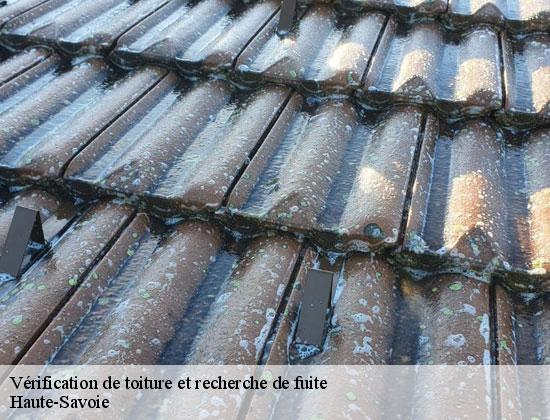 Vérification de toiture et recherche de fuite 74 Haute-Savoie  Rénovation CM