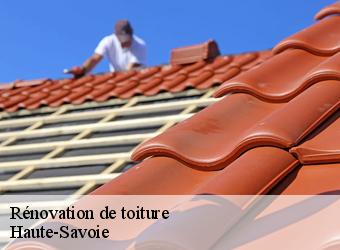 Rénovation de toiture Haute-Savoie