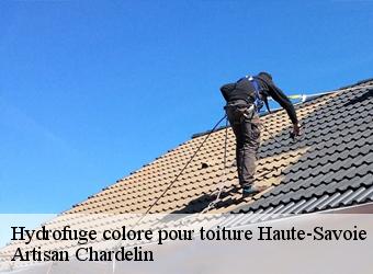 Hydrofuge colore pour toiture 74 Haute-Savoie  Artisan Chardelin