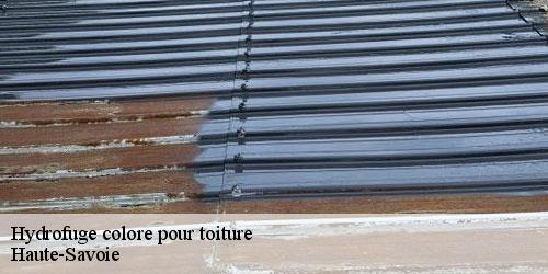 Hydrofuge colore pour toiture 74 Haute-Savoie Rénovation CM