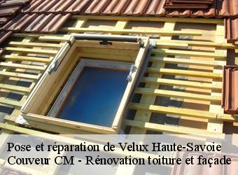 Pose et réparation de Velux 74 Haute-Savoie  Couveur CM - Rénovation toiture et façade