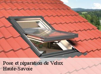 Pose et réparation de Velux Haute-Savoie