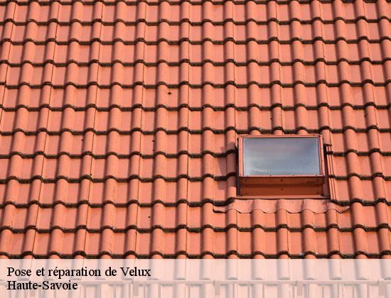 Pose et réparation de Velux 74 Haute-Savoie  Rénovation CM
