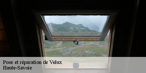 Pose et réparation de Velux 74 Haute-Savoie  Rénovation CM