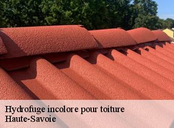 Hydrofuge incolore pour toiture Haute-Savoie 