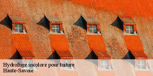 Hydrofuge incolore pour toiture 74 Haute-Savoie  Rénovation CM