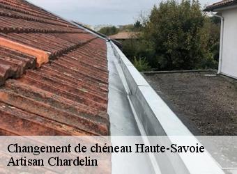 Changement de chéneau 74 Haute-Savoie  Artisan Chardelin