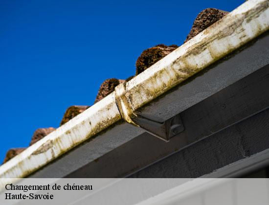 Changement de chéneau 74 Haute-Savoie Rénovation CM