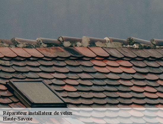 Réparateur installateur de velux 74 Haute-Savoie  Rénovation CM