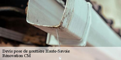 Devis pose de gouttière 74 Haute-Savoie  Rénovation CM