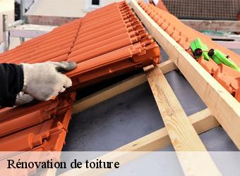 Rénovation de toiture