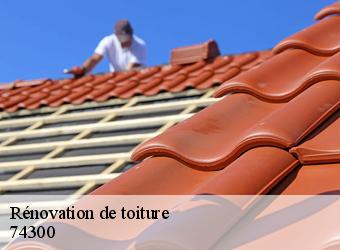 Rénovation de toiture 74300