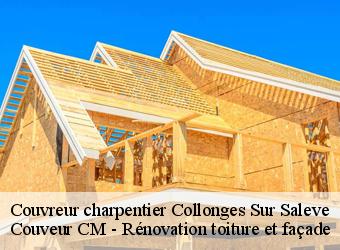 Couvreur charpentier collonges-sur-saleve-74160 Couveur CM - Rénovation toiture et façade