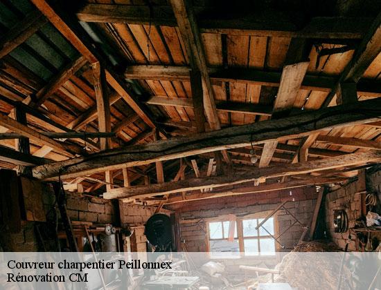 Couvreur charpentier  peillonnex-74250 Rénovation CM