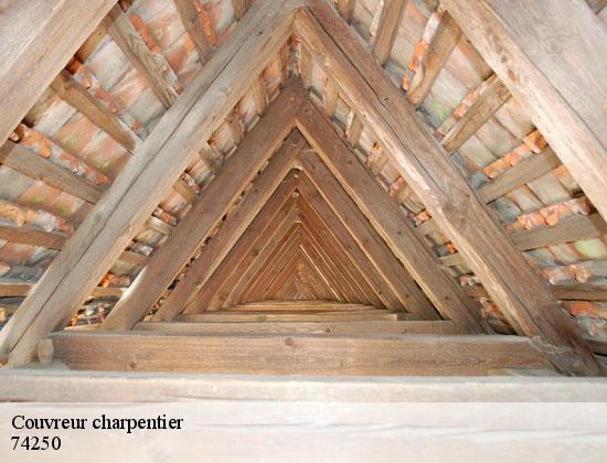 Couvreur charpentier  peillonnex-74250 Rénovation CM