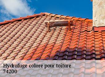 Hydrofuge colore pour toiture 74200