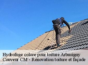 Hydrofuge colore pour toiture arbusigny-74930 Couveur CM - Rénovation toiture et façade
