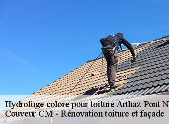 Hydrofuge colore pour toiture arthaz-pont-notre-dame-74380 Couveur CM - Rénovation toiture et façade