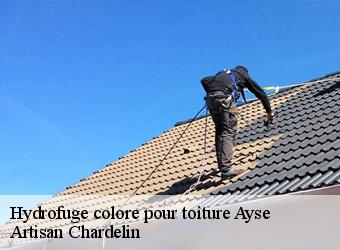 Hydrofuge colore pour toiture  ayse-74130 Artisan Chardelin