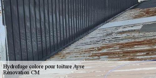 Hydrofuge colore pour toiture  ayse-74130 Rénovation CM