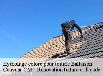 Hydrofuge colore pour toiture ballaison-74140 Couveur CM - Rénovation toiture et façade