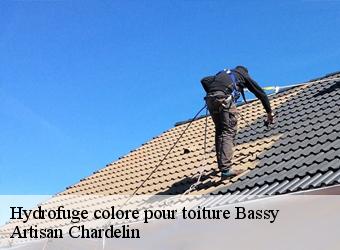 Hydrofuge colore pour toiture  bassy-74910 Artisan Chardelin
