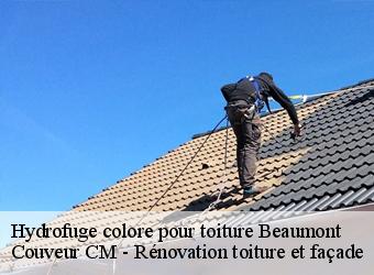 Hydrofuge colore pour toiture beaumont-74160 Couveur CM - Rénovation toiture et façade