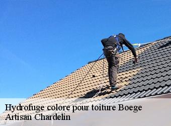 Hydrofuge colore pour toiture  boege-74420 Artisan Chardelin