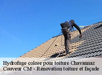 Hydrofuge colore pour toiture chavannaz-74270 Couveur CM - Rénovation toiture et façade