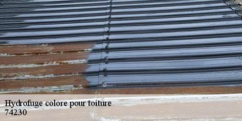 Hydrofuge colore pour toiture les-clefs-74230 Rénovation CM