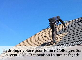 Hydrofuge colore pour toiture collonges-sur-saleve-74160 Couveur CM - Rénovation toiture et façade