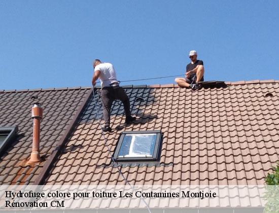 Hydrofuge colore pour toiture les-contamines-montjoie-74170 Rénovation CM