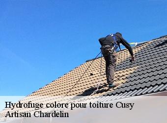 Hydrofuge colore pour toiture  cusy-74540 Artisan Chardelin