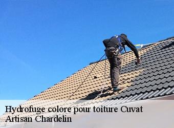 Hydrofuge colore pour toiture  cuvat-74350 Artisan Chardelin