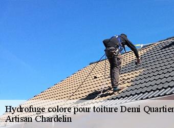 Hydrofuge colore pour toiture  demi-quartier-74120 Artisan Chardelin