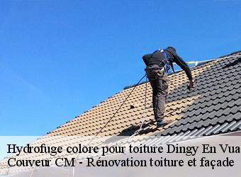 Hydrofuge colore pour toiture  dingy-en-vuache-74520 Couveur CM - Rénovation toiture et façade