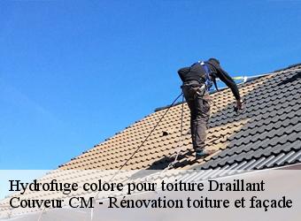 Hydrofuge colore pour toiture  draillant-74550 Couveur CM - Rénovation toiture et façade