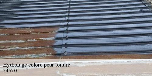 Hydrofuge colore pour toiture groisy-74570 Rénovation CM