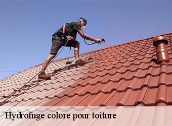 Hydrofuge colore pour toiture
