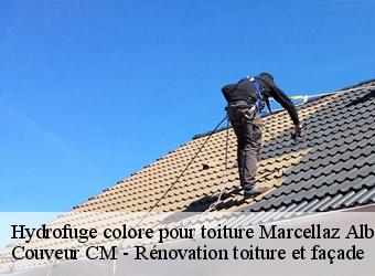 Hydrofuge colore pour toiture marcellaz-albanais-74150 Couveur CM - Rénovation toiture et façade