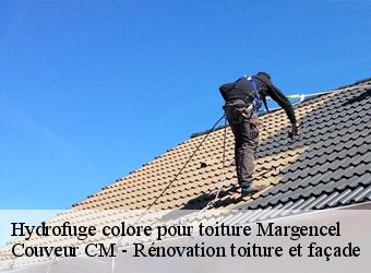 Hydrofuge colore pour toiture margencel-74200 Couveur CM - Rénovation toiture et façade