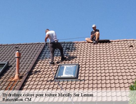 Hydrofuge colore pour toiture maxilly-sur-leman-74500 Rénovation CM