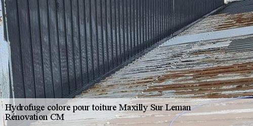Hydrofuge colore pour toiture maxilly-sur-leman-74500 Rénovation CM
