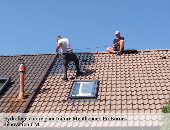 Hydrofuge colore pour toiture  menthonnex-en-bornes-74350 Rénovation CM